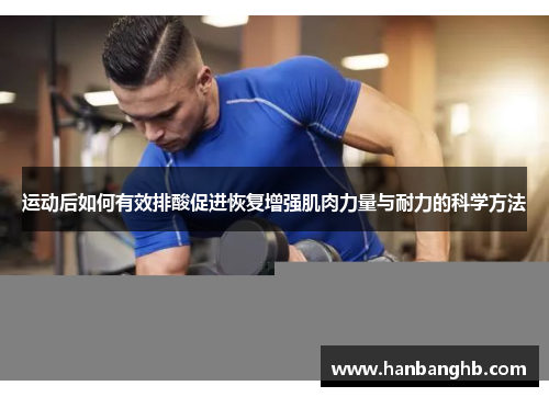 运动后如何有效排酸促进恢复增强肌肉力量与耐力的科学方法