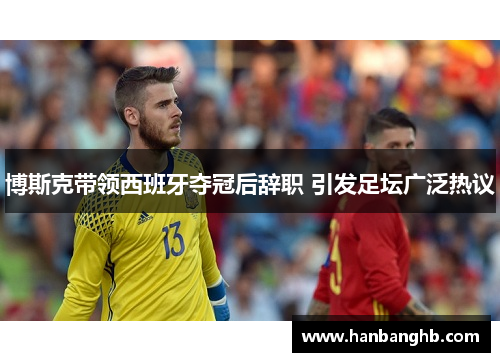 博斯克带领西班牙夺冠后辞职 引发足坛广泛热议