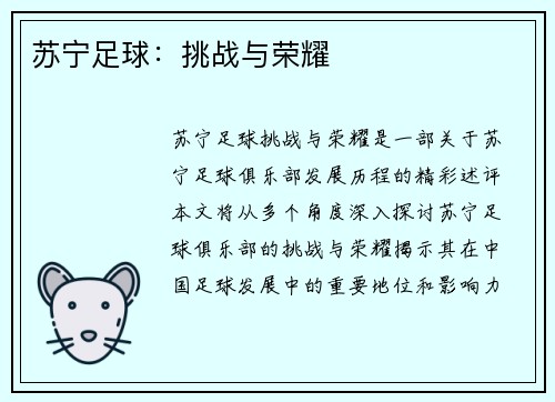 苏宁足球：挑战与荣耀
